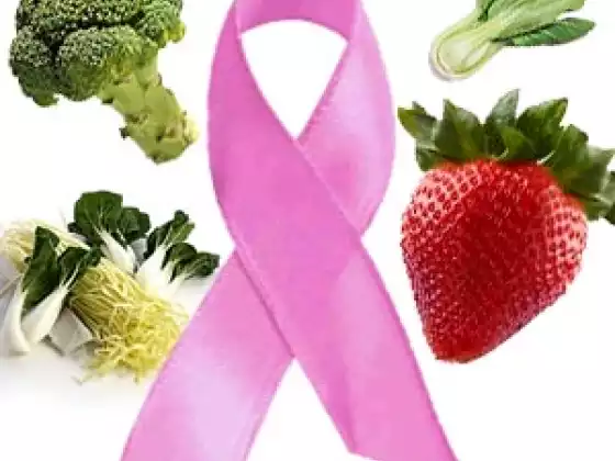 Cancer Prevention & Survival through Nutrition