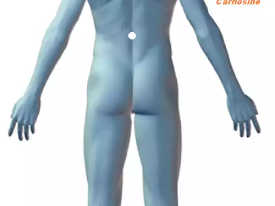 Advanced Pain Relief Protocols using LifeWave Patches