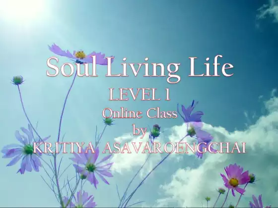 Soul Living Life - Level 1 : Online Class 