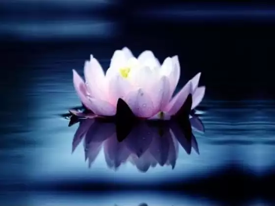 Level 1: Introduction to Channeling