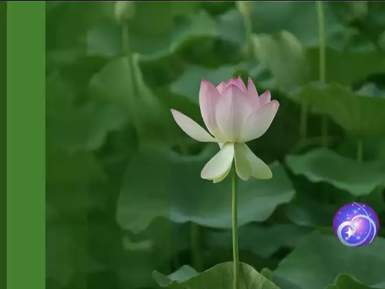 การรับรองวัตถุประสงค์ของจิตวิญญาณของคุณ: ตามความต้องการ