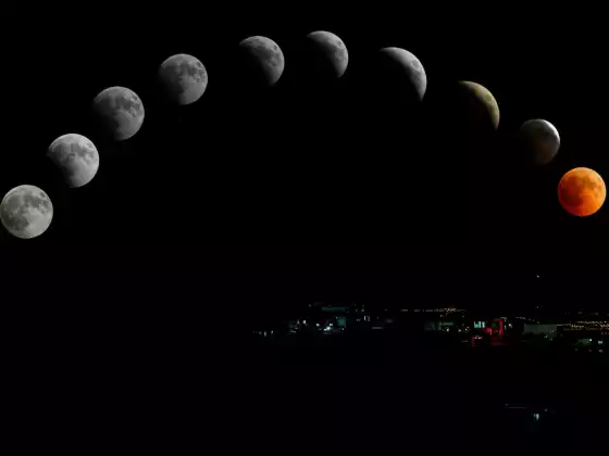 Lunar Phases: Opportunities for Growth
