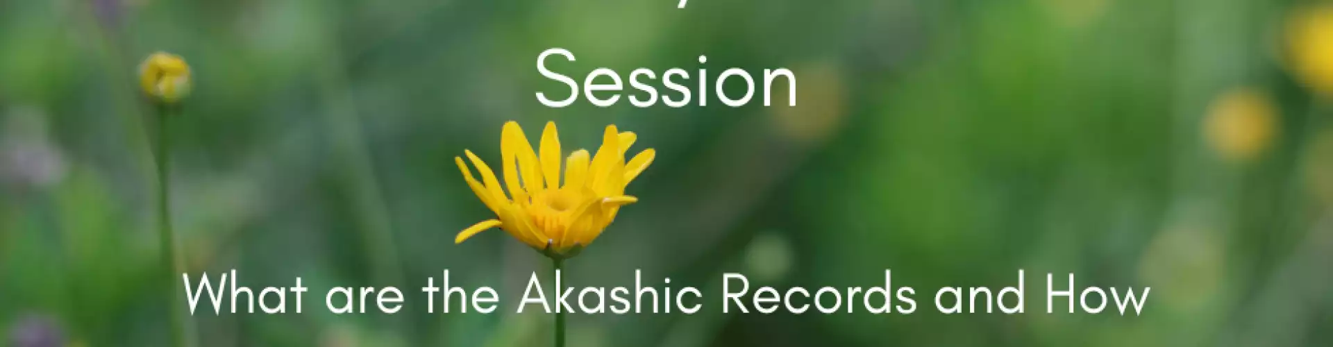 Introduction to the Akashic Records