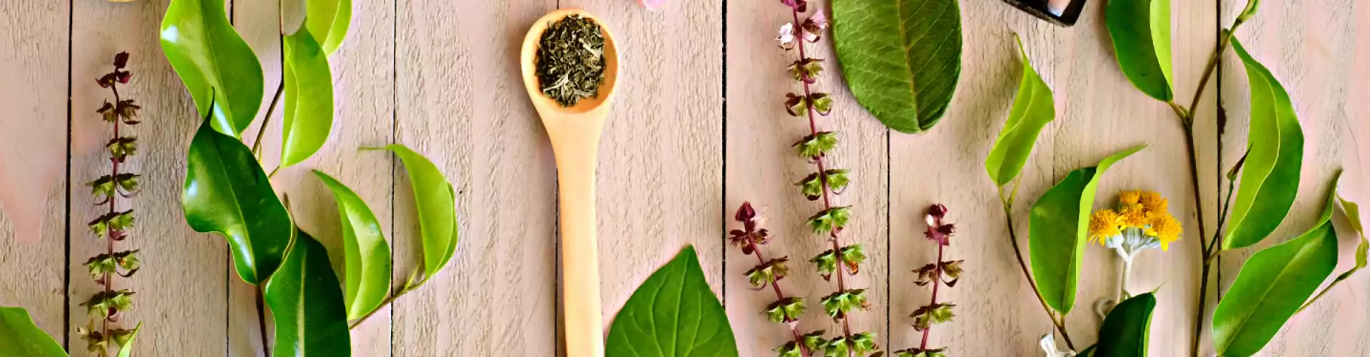 Nozioni di base sull'erboristeria ayurvedica - Online Class by Stephanie Brail