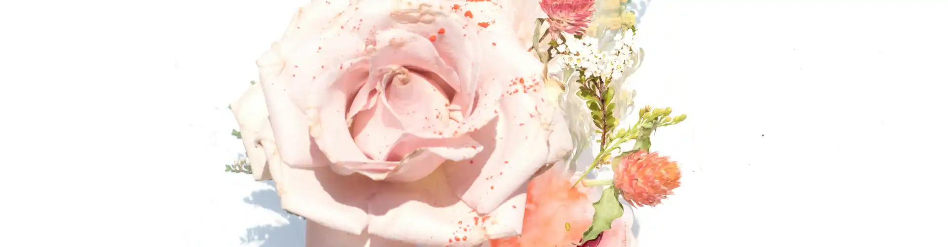 Susulan Keahlian Reiki  - Online Class by Jamie Butler