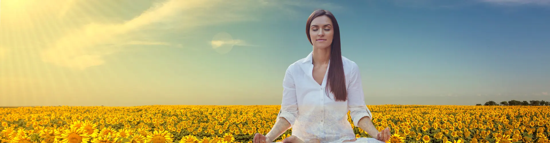 Bundle: Symposium du solstice d'été - Online Course by Learn It Live