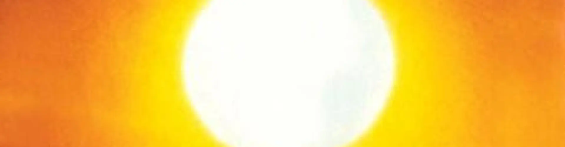 Medizinrad-Zeremonie zur Sommersonnenwende 2025 – Rufe dein Licht an - Online Class by Raven  Many Voices